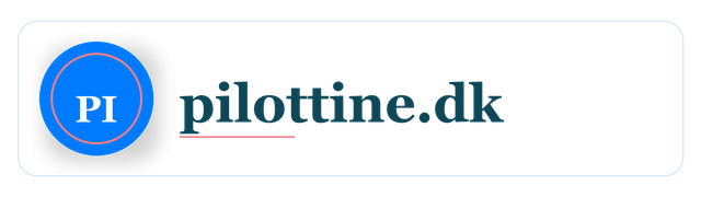 pilottine.dk logo
